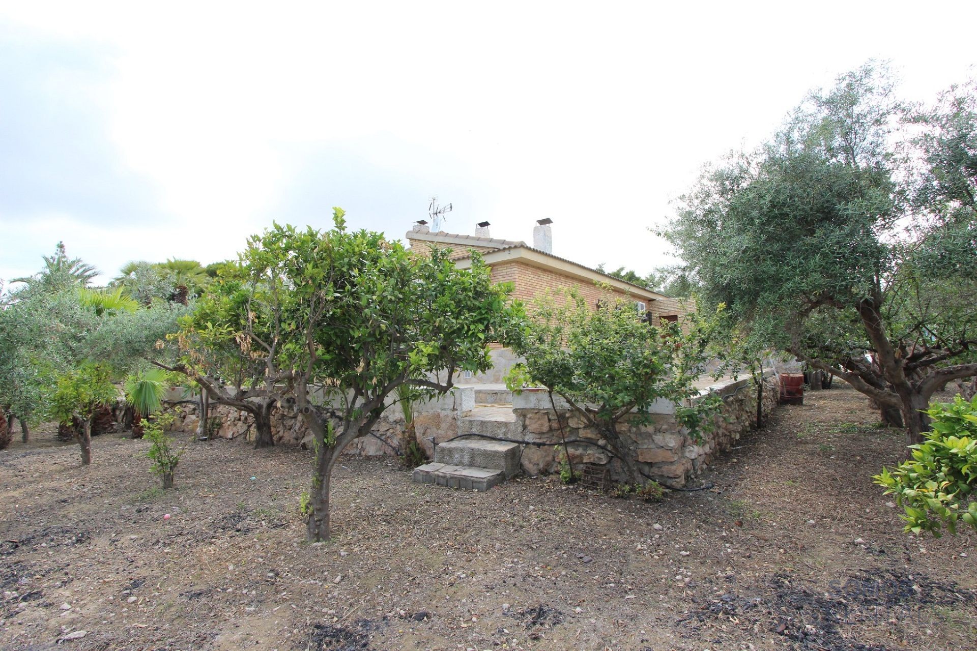 Villa Paraíso, El Altet — Foto 22