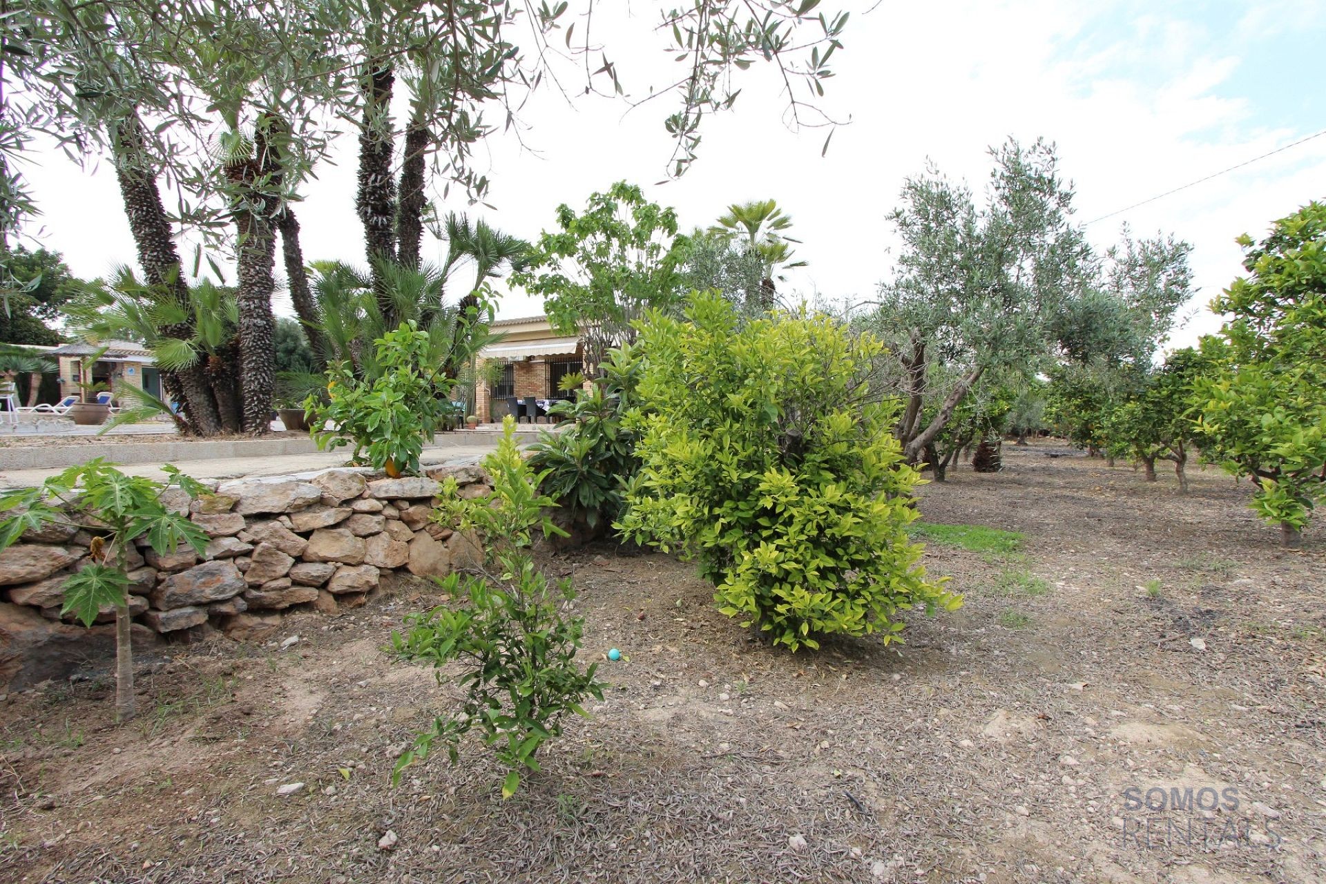 Villa Paraíso, El Altet — Foto 20