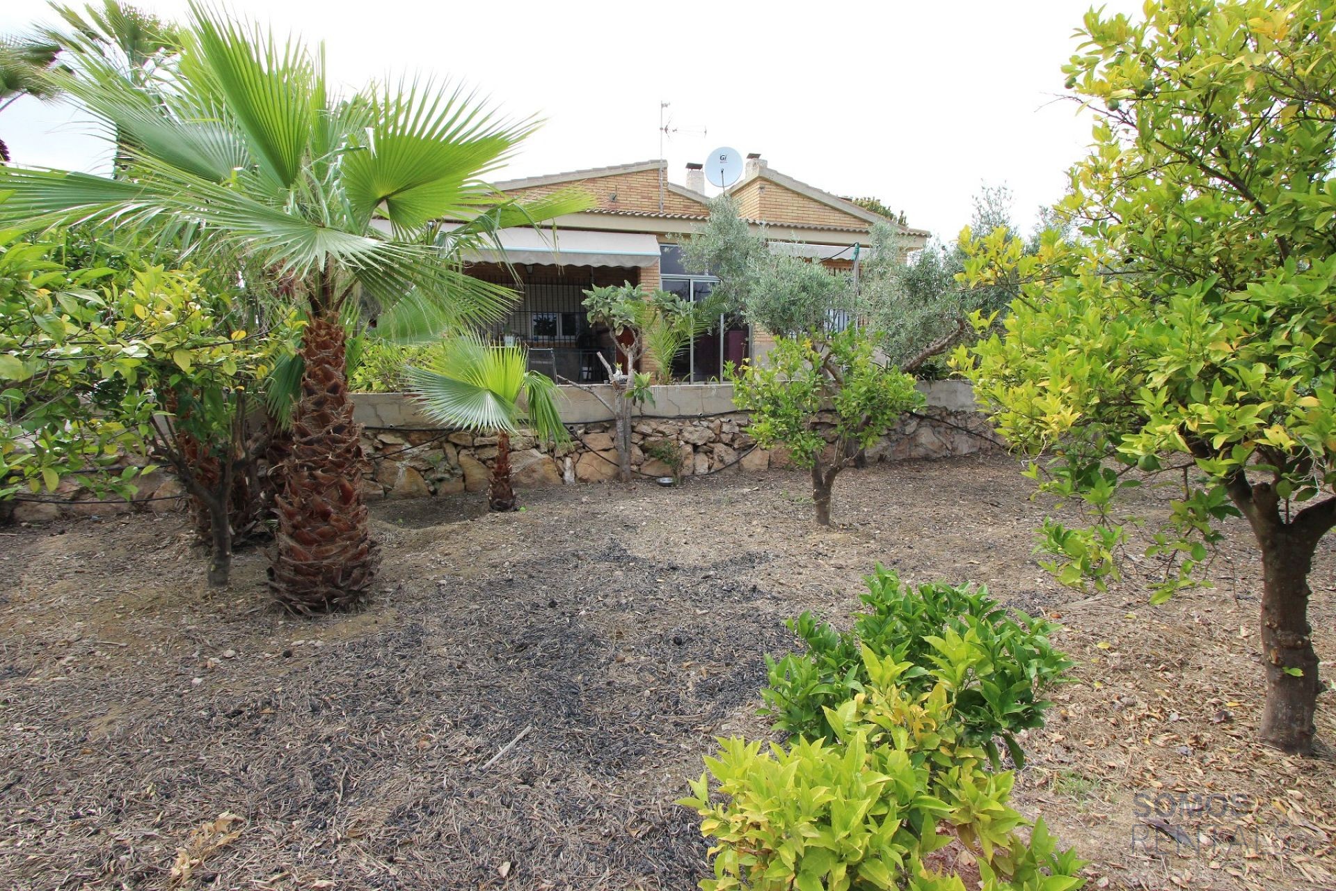 Villa Paraíso, El Altet — Foto 21