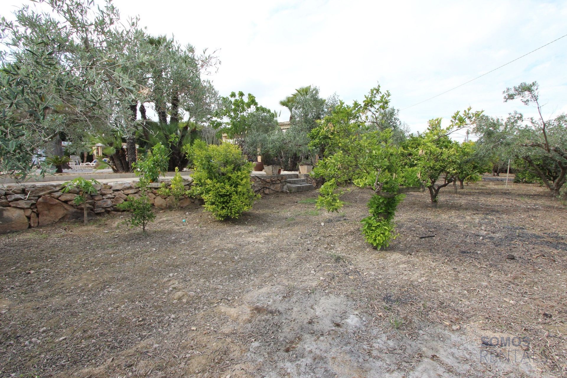 Villa Paraíso, El Altet — Foto 19