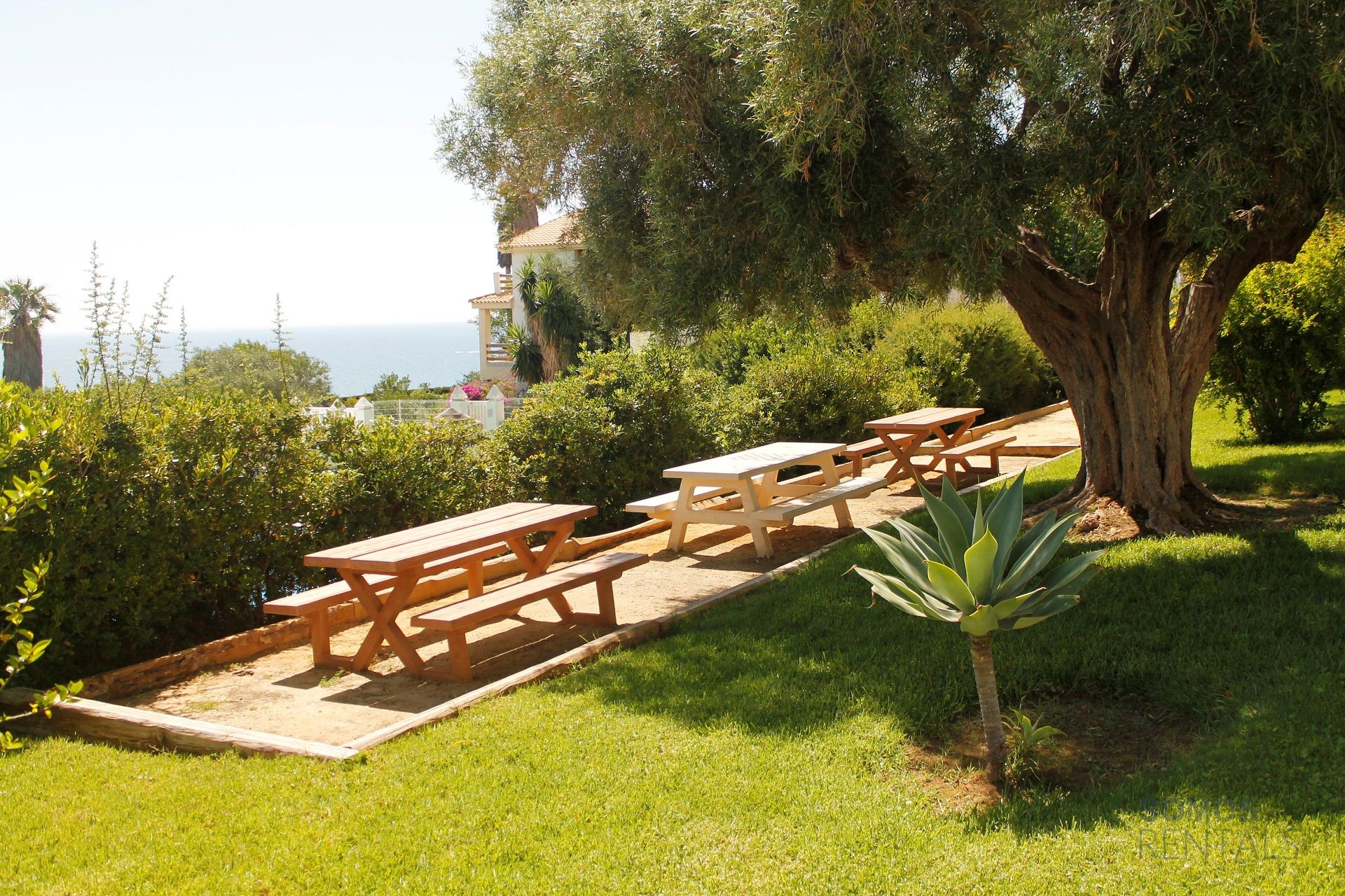 Casa Cherie - Gran Alacant photograph 5