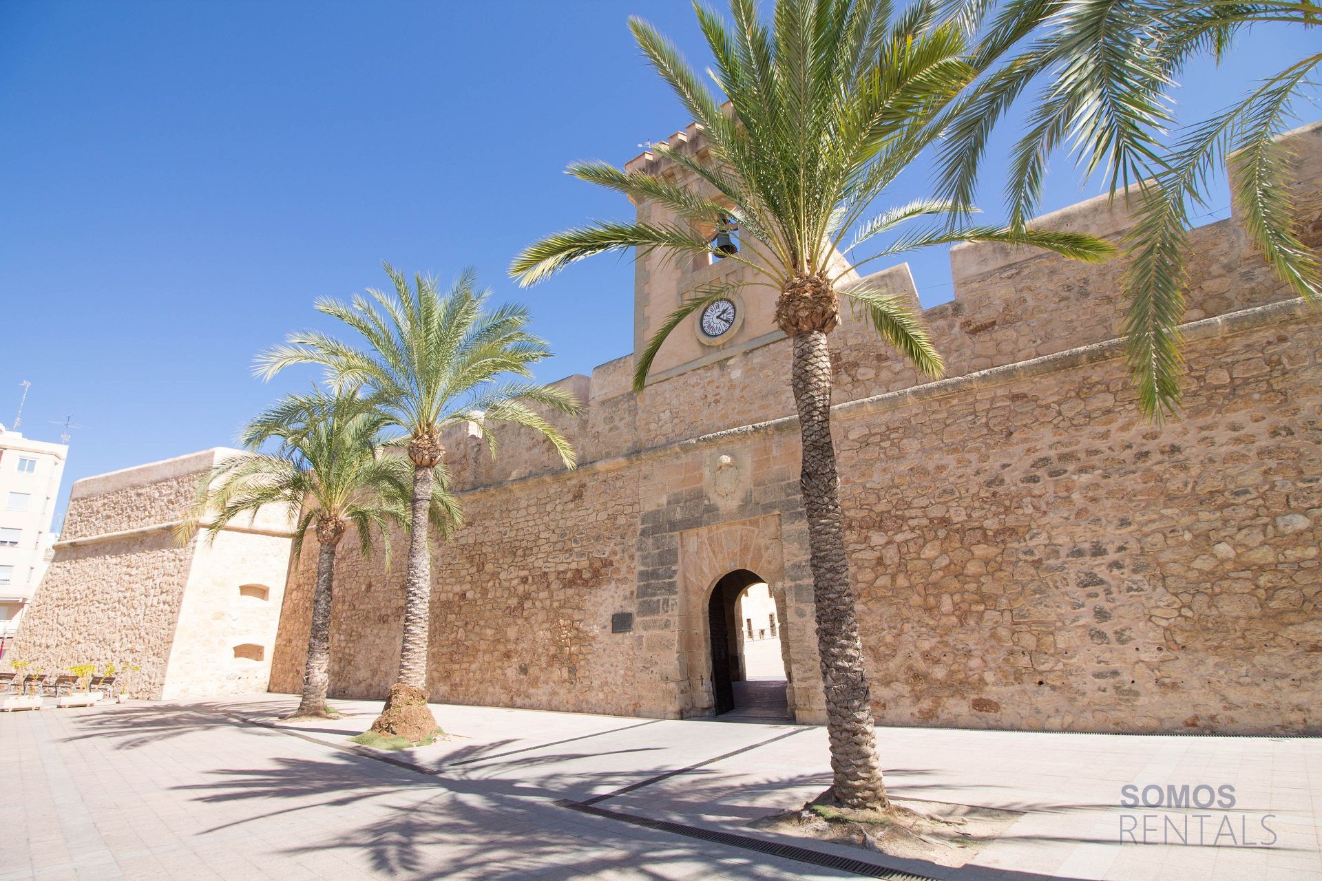 Apartamento Tamarindos, Santa Pola — fotografía 25