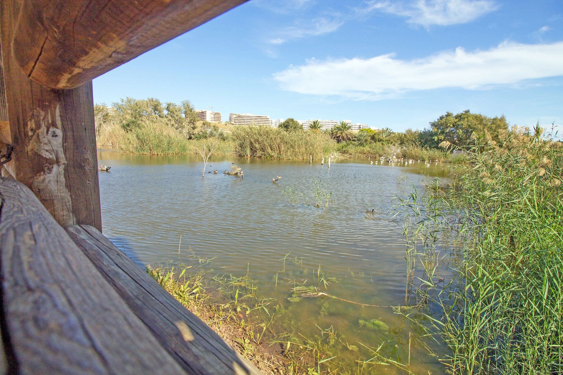 Casa Galvany, Gran Alacant — Foto 47