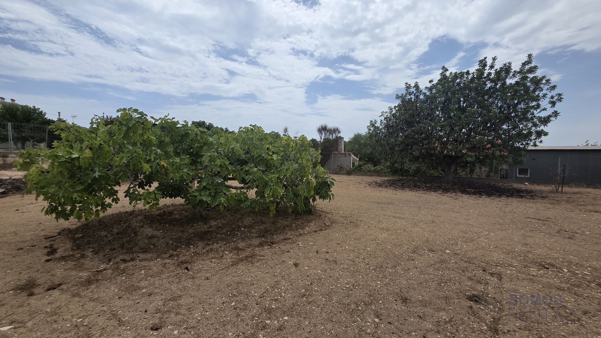 Villa Carmen, La Escuera — fotografía 34