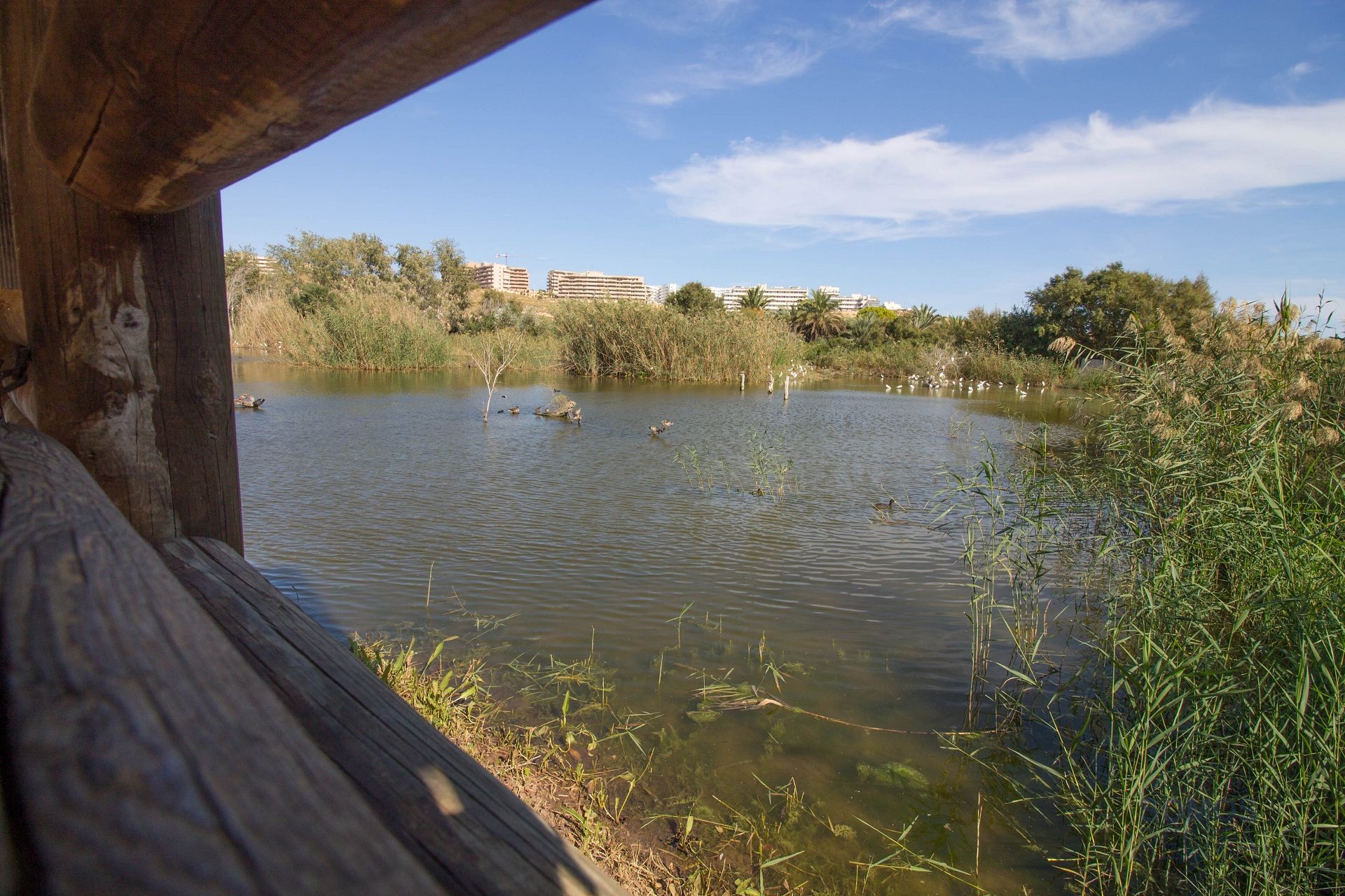 Casa Rosa, Gran Alacant — fotografía 53