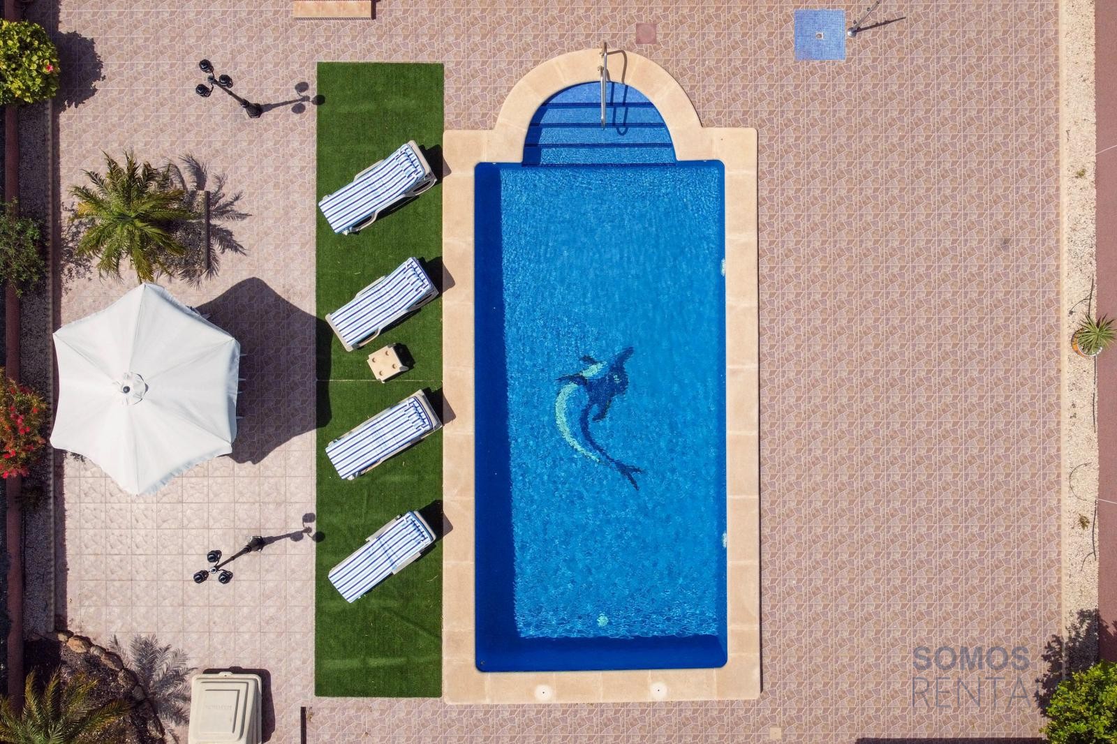 Villa Berna, Urb La Marina — foto 6