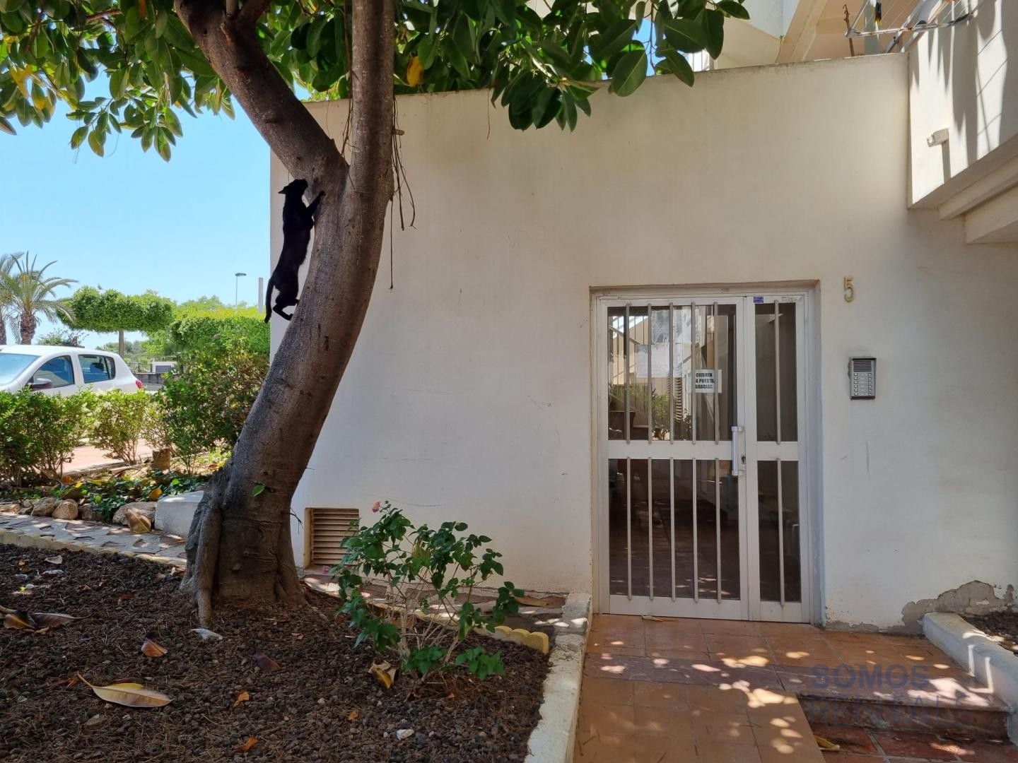 Apartamento Blue Skies, GRAN ALACANT — fotografía 34